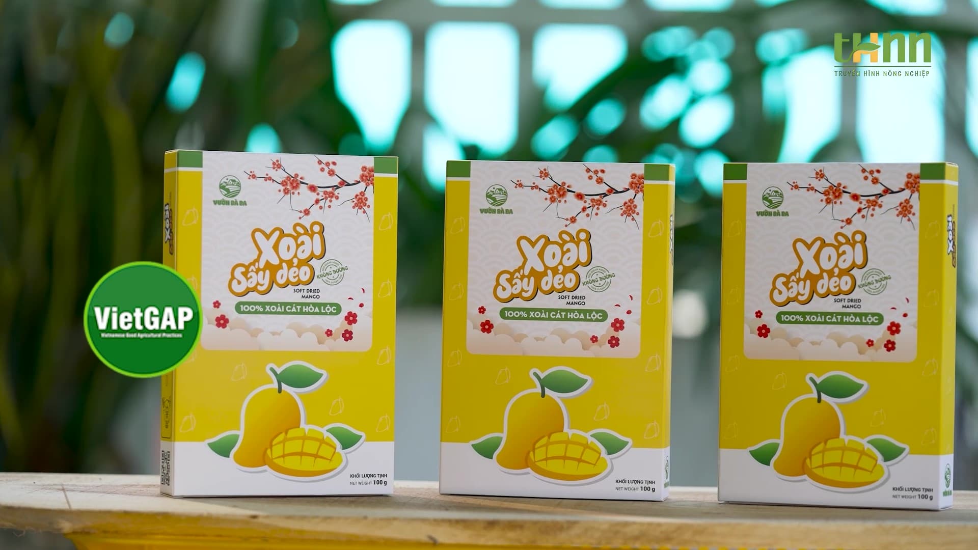 Xoài sấy dẻo Vườn Bà Ba