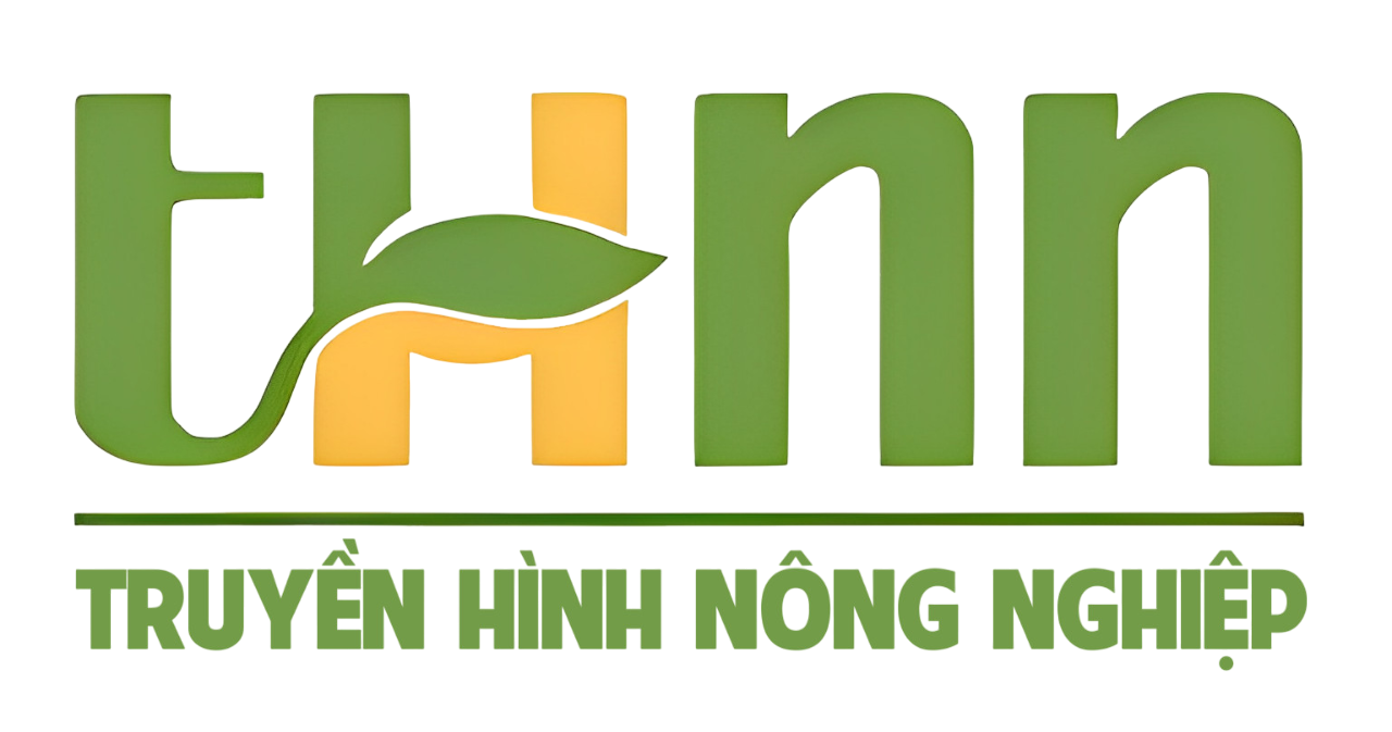 logo_/